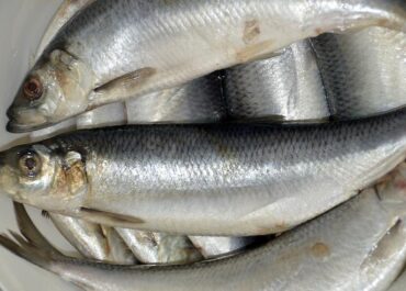 Рыбная продукция из Хабаровского района не прошла проверку на качество
